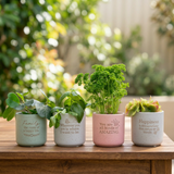 Positive Pots UK | Ceramic Plant Pots with Quotes