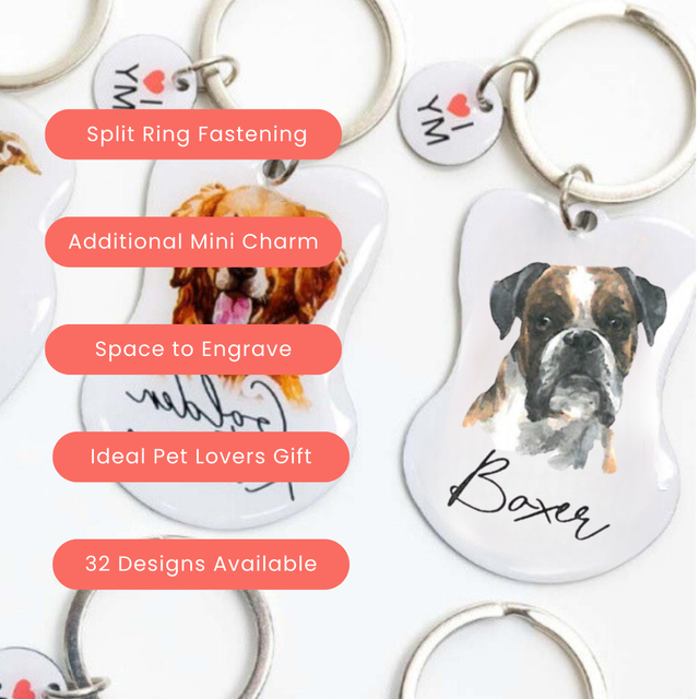 Splosh Pet Keyring - Boxer