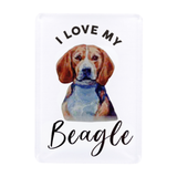 Splosh Beagle Pet Magnet