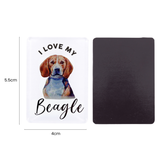 Splosh Beagle Pet Magnet