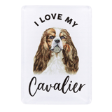 Splosh Cavalier Pet Magnet