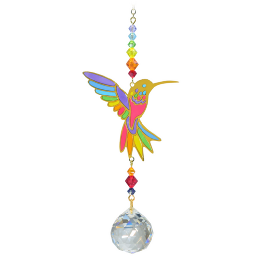 Wild Things - Crystal Dreams - Rainbow Hummingbird