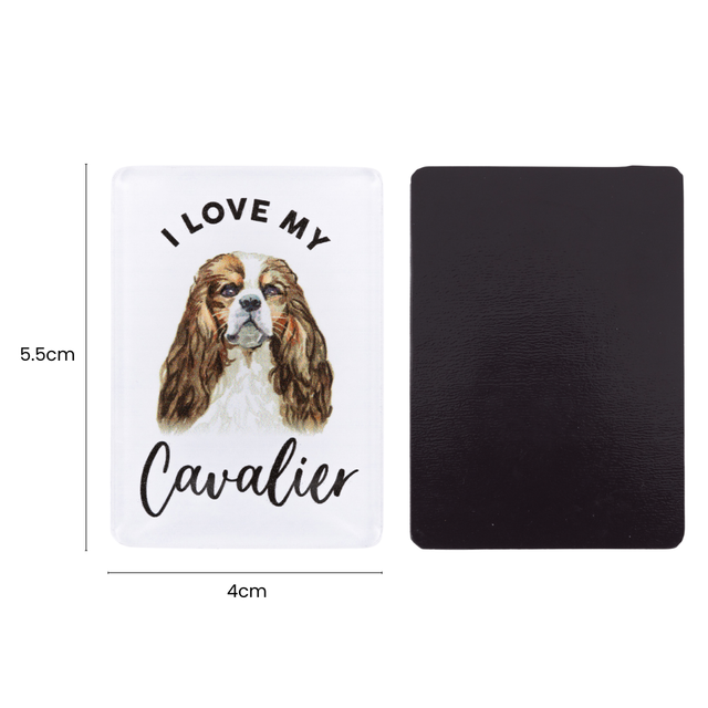 Splosh Cavalier Pet Magnet