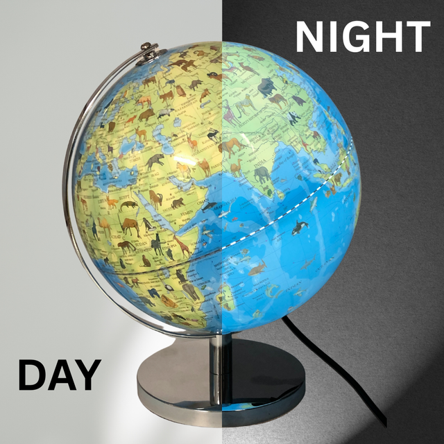 Globe with led on and off sides with animals on a gray background