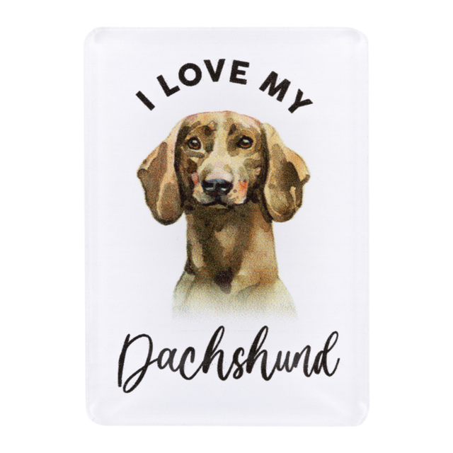 Splosh Dachshund Pet Magnet