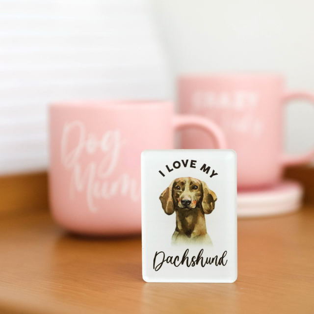 Splosh Dachshund Pet Magnet