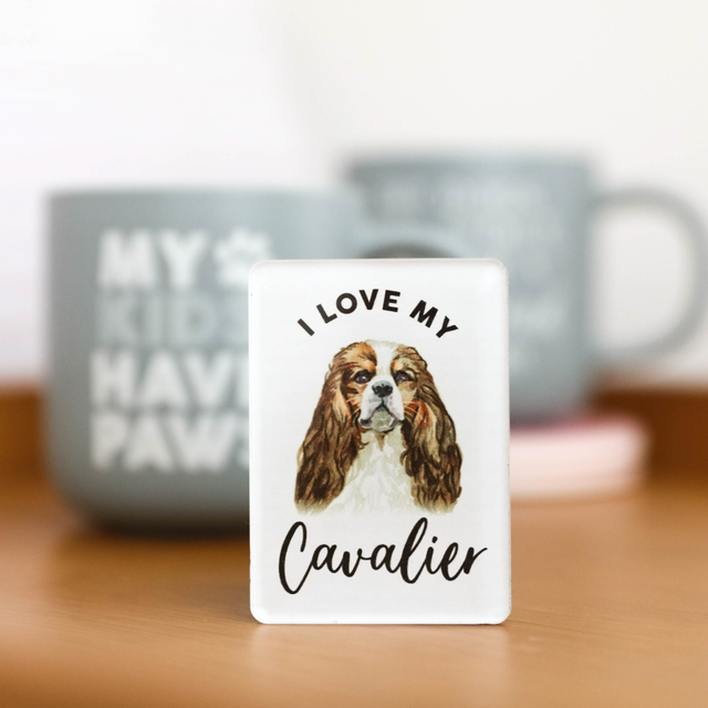 Splosh Cavalier Pet Magnet