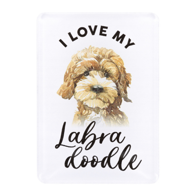 Splosh Labradoodle Pet Magnet