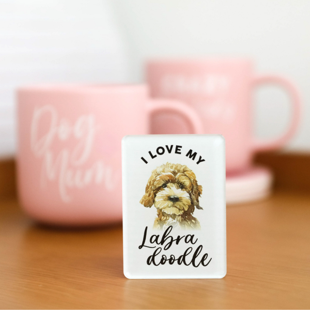 Splosh Labradoodle Pet Magnet