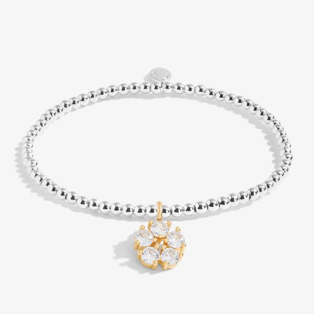 Joma Jewellery Bracelet - A Little Sorry Youre Leaving