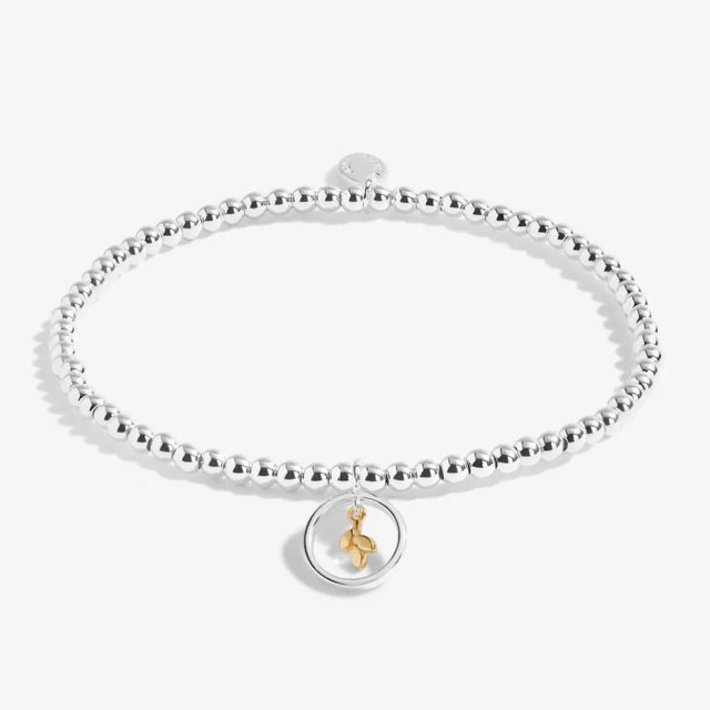Joma Jewellery - Boxed A Little Family Is A Gift To Always Treasure Bracelet