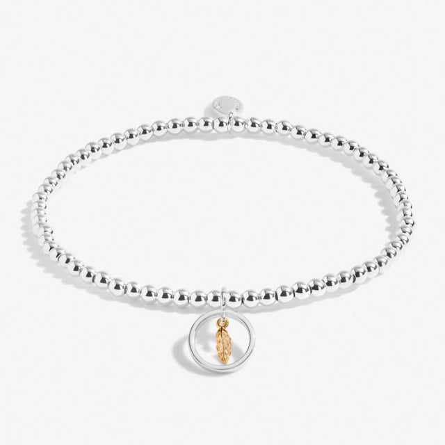 Joma Jewellery - Boxed A Little Feathers Appear When Loved Ones Are Near Bracelet