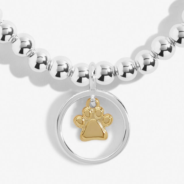Joma Jewellery - Boxed A Little Pets Leave Pawprints On Our Hearts