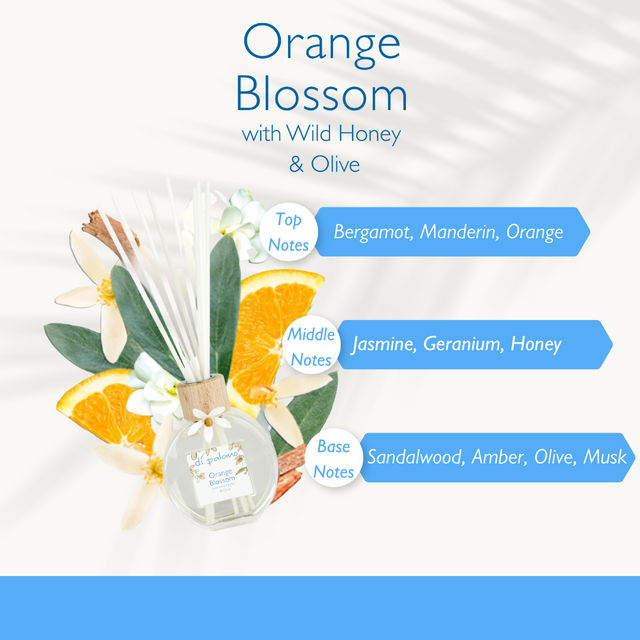 Di Palomo Orange Blossom Fragrant Reed Diffuser 100ml