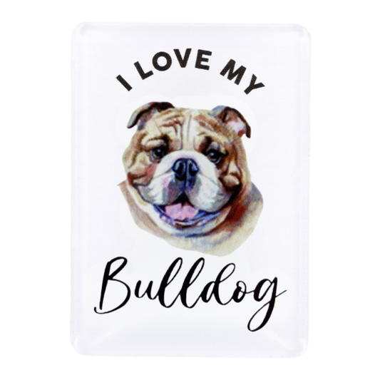 Splosh Bulldog Pet Magnet