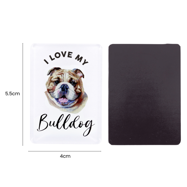 Splosh Bulldog Pet Magnet