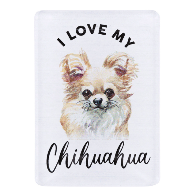 Splosh Chihuahua Pet Magnet