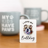 Splosh Bulldog Pet Magnet