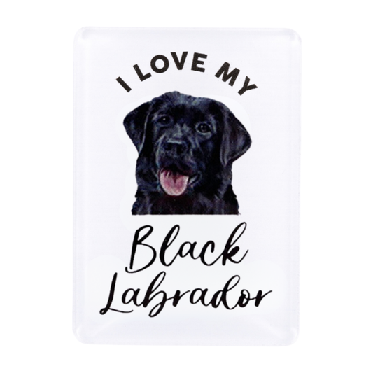 Splosh Black Labrador Pet Magnet