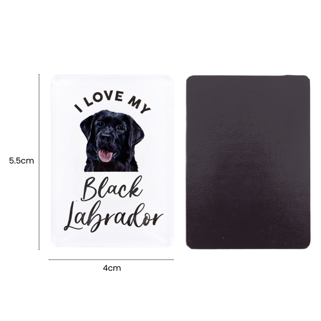 Splosh Black Labrador Pet Magnet