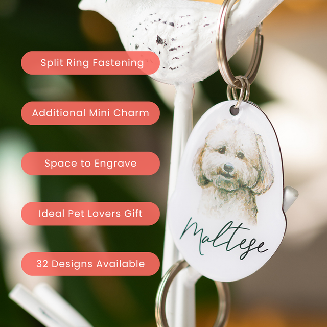 Splosh Pet Keyring - Maltese