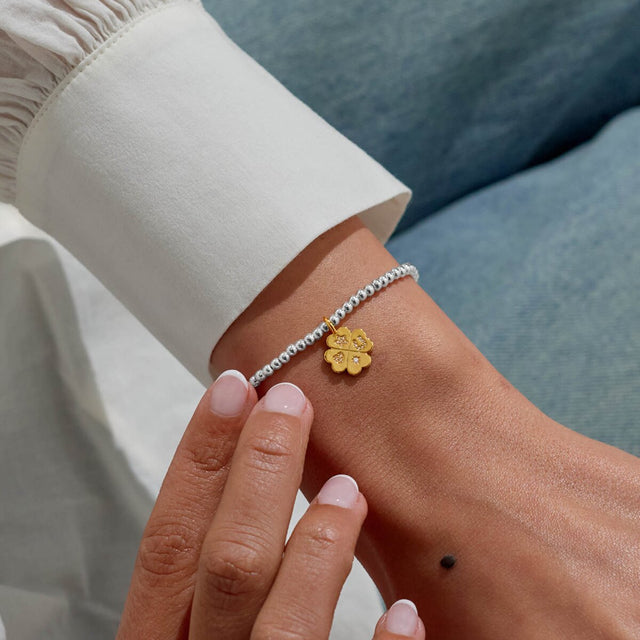 Joma Jewellery Silver & Gold Bracelet - Lucky Charm - A Little