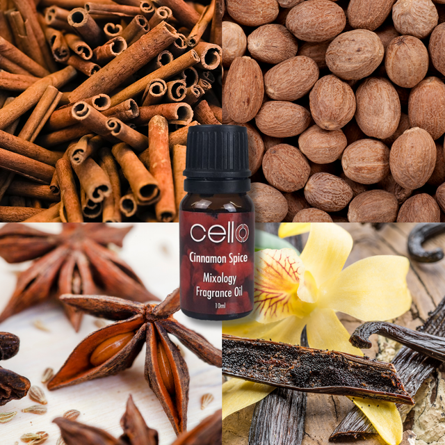 Cinnamon Spice Mixology Oil - 10ml