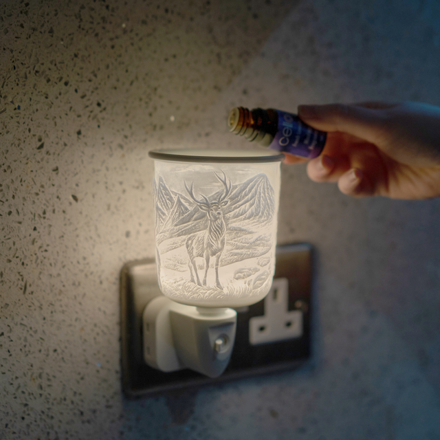 Cinnamon Spice Mixology Oil - 10ml