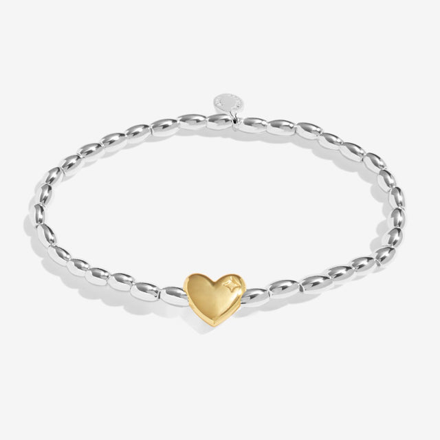 Joma Jewellery Silver & Gold Bracelet - Season To Sparkle - A Little
