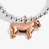 Joma Jewellery Silver & Rose Gold Bracelet - A Wee 'Och Aye The Moo' - A Little