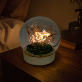 Single Gleneagles Butterfly LED USB Glass Lamp glowing softly on a bedside table in a cosy bedroom, casting a gentle butterfly-shaped light for a calm, relaxing ambience.