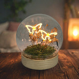 Double Gleneagles Butterfly LED USB Glass Lamp illuminating a modern living room shelf, featuring two glowing butterflies in a sleek glass dome for elegant decorative lighting.