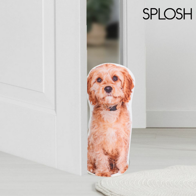 Splosh Adopt A Doorstop Charlie The Cockapoo