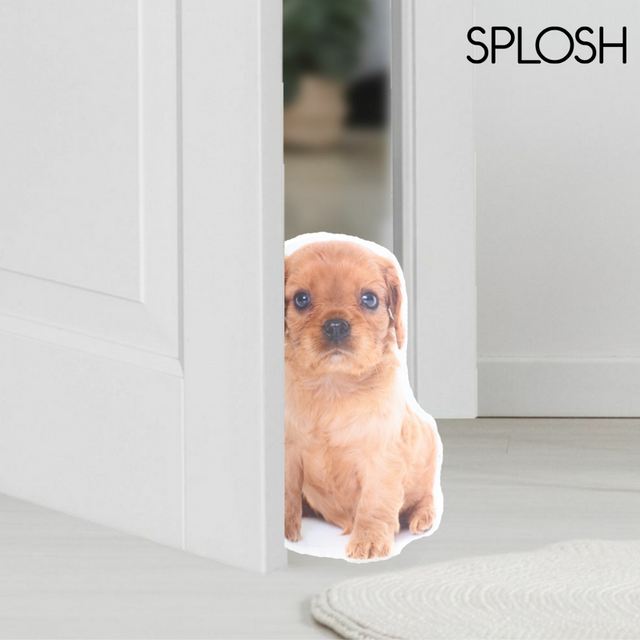 Splosh Adopt A Doorstop Ruby The Spaniel