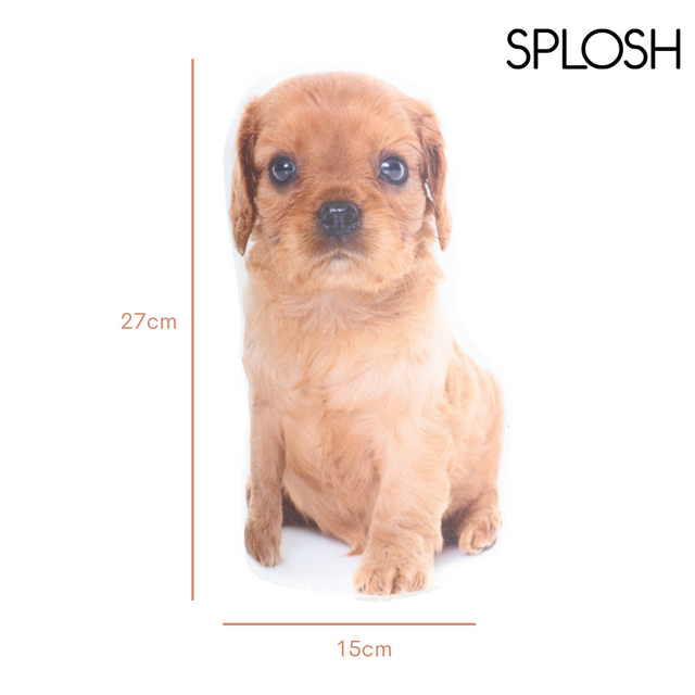 Splosh Adopt A Doorstop Ruby The Spaniel