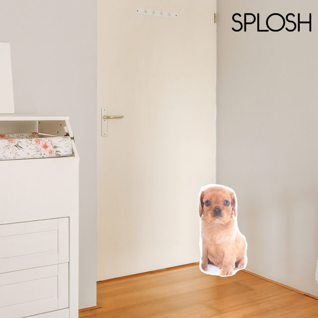 Splosh Adopt A Doorstop Ruby The Spaniel