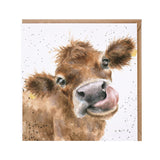 Wrendale Designs Mooooo Card