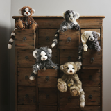 Monsters from the Monsterology Plush Collection 2026 by Charlie Bear