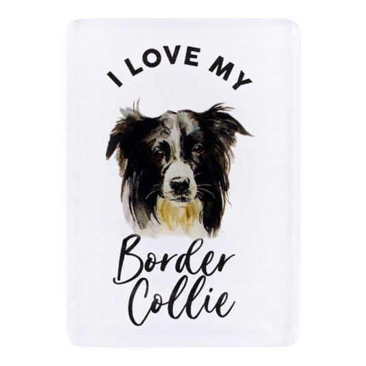 Splosh Border Collie Pet Magnet