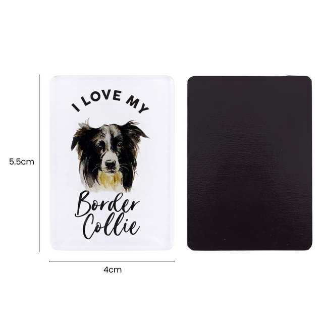 Splosh Border Collie Pet Magnet