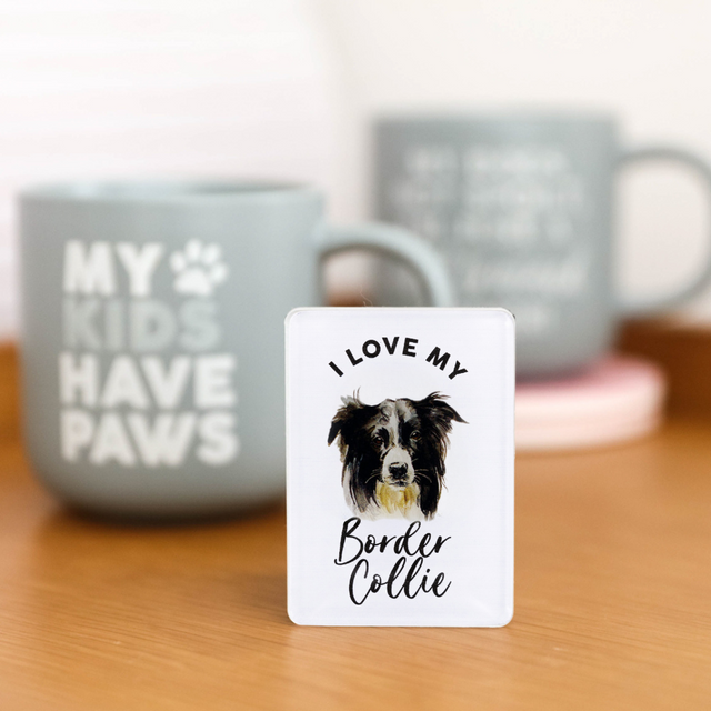 Splosh Border Collie Pet Magnet