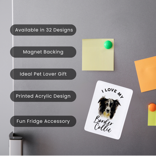 Splosh Border Collie Pet Magnet