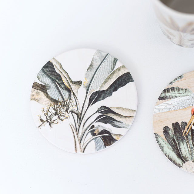 Splosh Exotic Ceramic Coaster Banana Palm