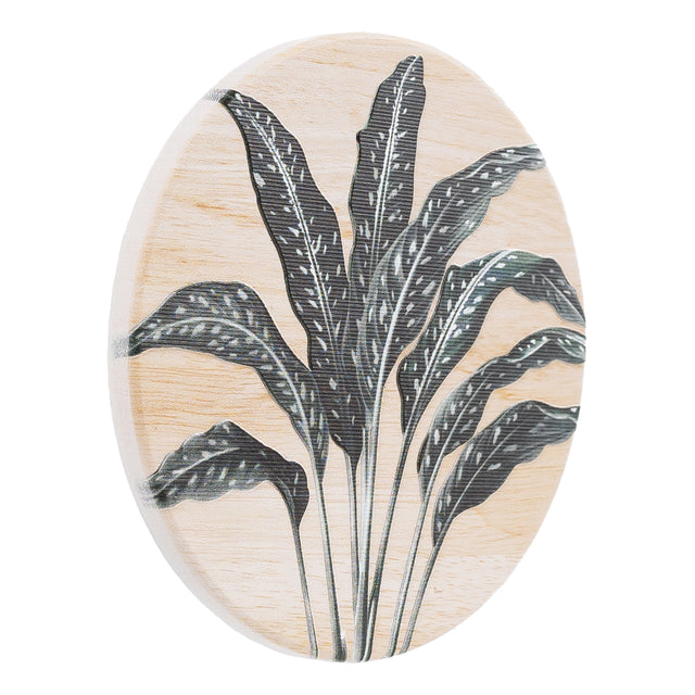 Splosh Exotic Ceramic Coaster Fern