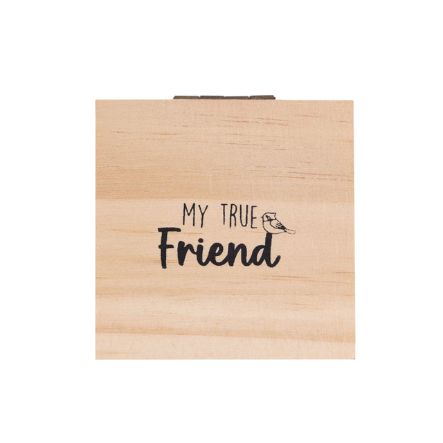 Splosh - Heart & Soul Earrings - Friends