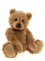Huggable Harry Bear from the 2026 Charlie Bear Plush Collection