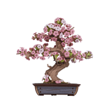 ROBOTIME Rolife Kits Sakura Bonsai on a white background