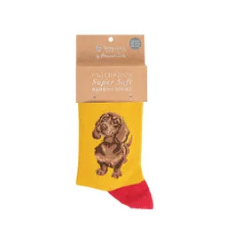 Wrendale Designs Little One Size 9-12 Children's Socks Dachshund