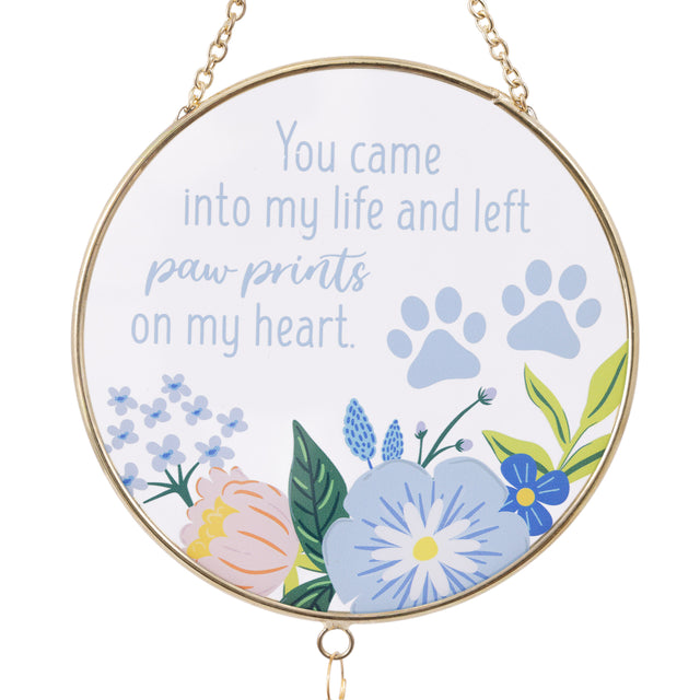 Splosh Suncatcher - Paw Prints