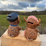 Lesser & Pavey - Highland Cow Money Bank Tartan